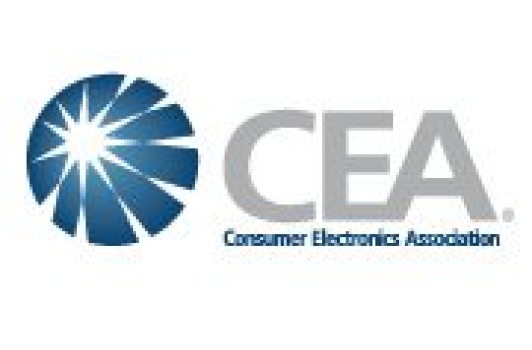 Consumer Electronics Agency - Crystal City VA