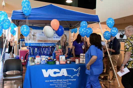 VCA Animal Hospital