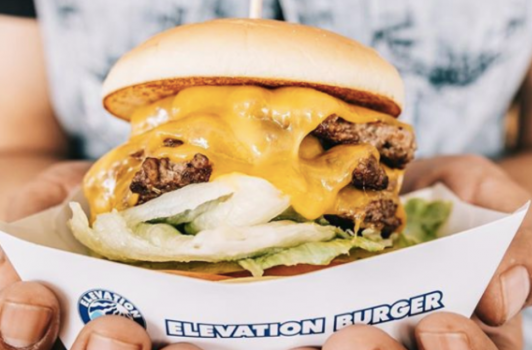 Elevation Burger