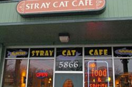 Stray Cat Cafe @ Arlington